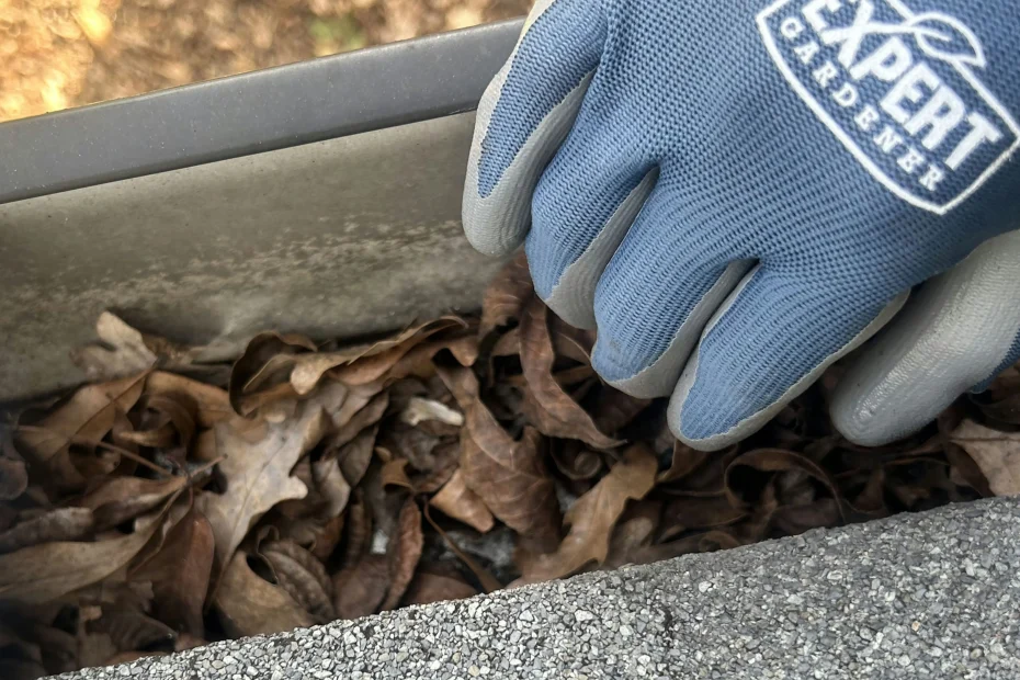 Gutter Cleaning Cedar Crest