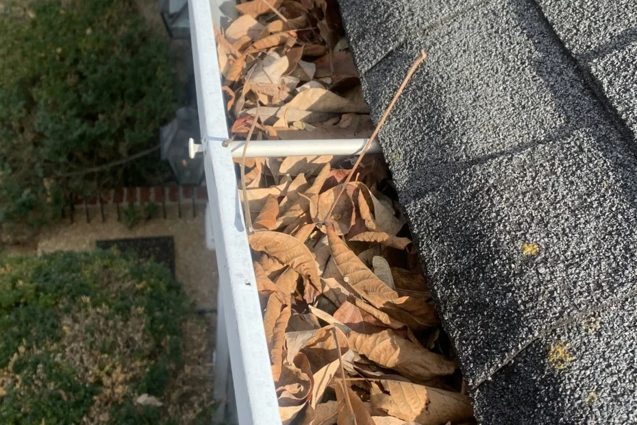 Gutter Cleaning Cedar Crest